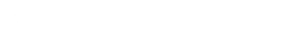 Friends of Vietnam Orphanages Inc.